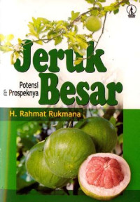 Image of Jeruk Besar Potensi Dan Prospeknya